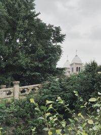 Trees by temple against sky