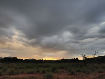 Scenic view of field against sky during sunset