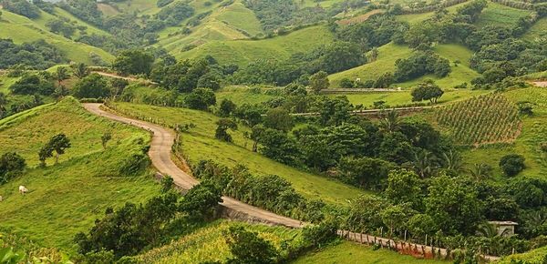 Scenic view of rural landscape