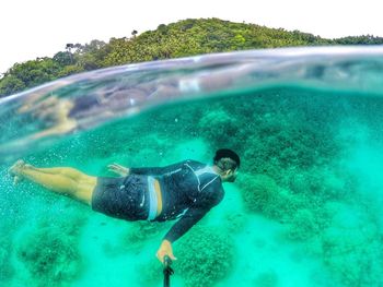 Fish swimming in sea