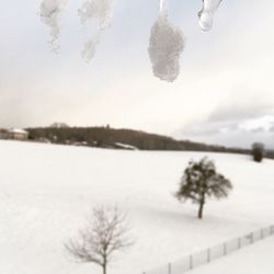 Close-up of snow on landscape against sky