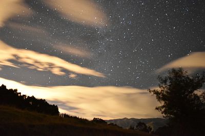 Silhouette trees against sky at night