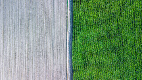 Full frame shot of green field