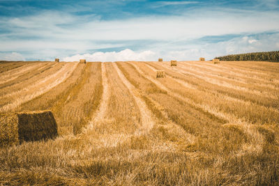 Hay bales on field against sky