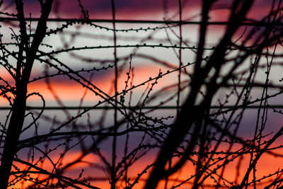 Silhouette of fence against sunset sky