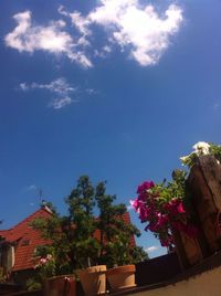 Flower trees against sky