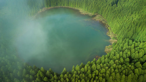 Aerial view of lagoa do canario lagoon surrounded by pine forest located on sao miguel, azores