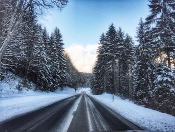 Road amidst trees against sky during winter