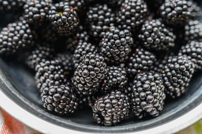 High angle view of fruits in plate on table