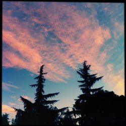 Low angle view of trees against cloudy sky