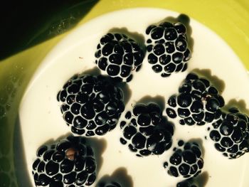 Close-up view of blueberries in plate