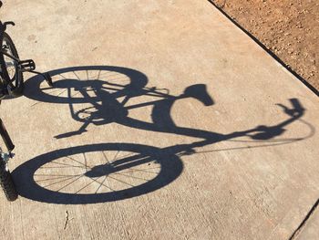 Shadow of tree on the wall