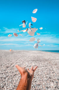 Cropped hand throwing seashells at beach against sky