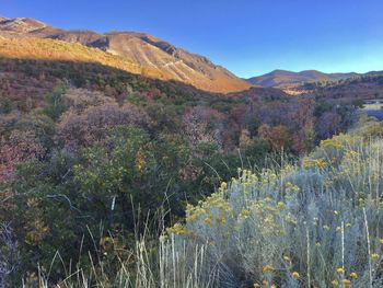 Scenic view of mountains against clear sky