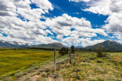 Scenic view of field against sky