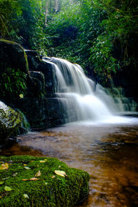 Scenic view of waterfall in forest