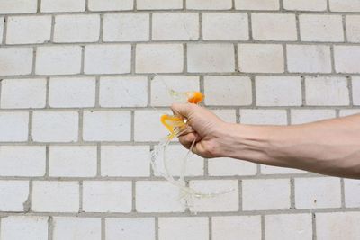 Cropped hand of man breaking egg against brick wall