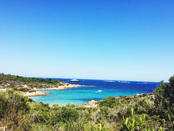 Scenic view of sea against clear blue sky