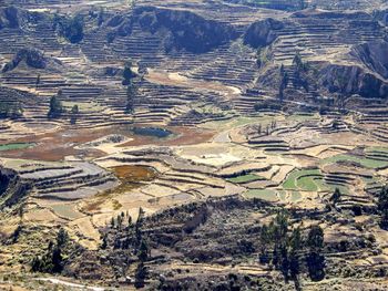 Aerial view of agricultural field