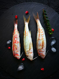  still life against black stone background