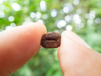 Close-up of hand holding snail