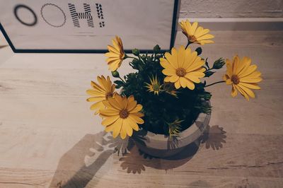 Close-up of yellow flowers on table