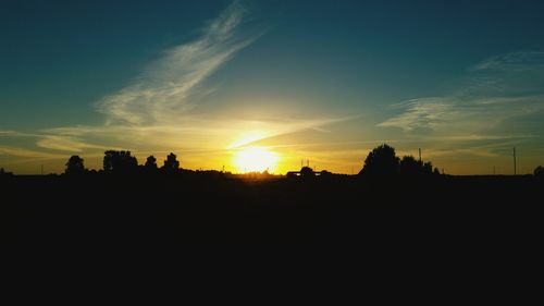 Silhouette of trees at sunset