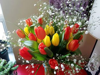 Close-up of flowers in vase