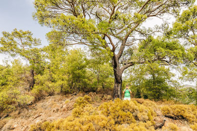 Woman by trees on field in forest