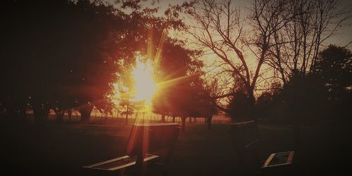 Silhouette of trees at sunset