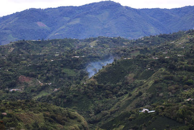 High angle view of trees and mountains