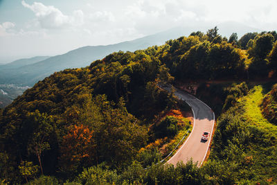 High angle view of trees and mountains against sky