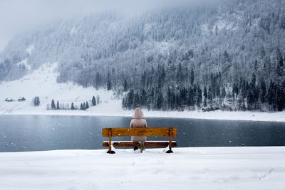 Rear view of woman sitting on bench by lake during snowfall