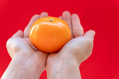 Close-up of hand holding orange