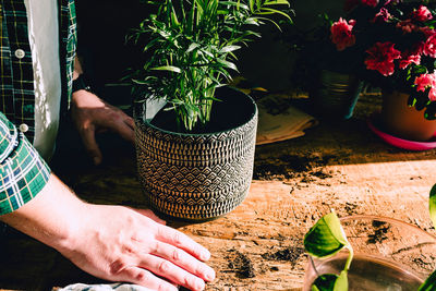 Midsection of man holding potted plant