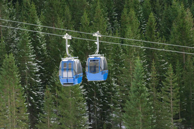 Overhead cable cars against trees in forest