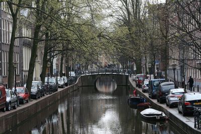 Panoramic view of bare trees in city