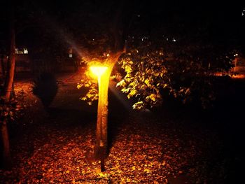 Close-up of illuminated lighting equipment at night