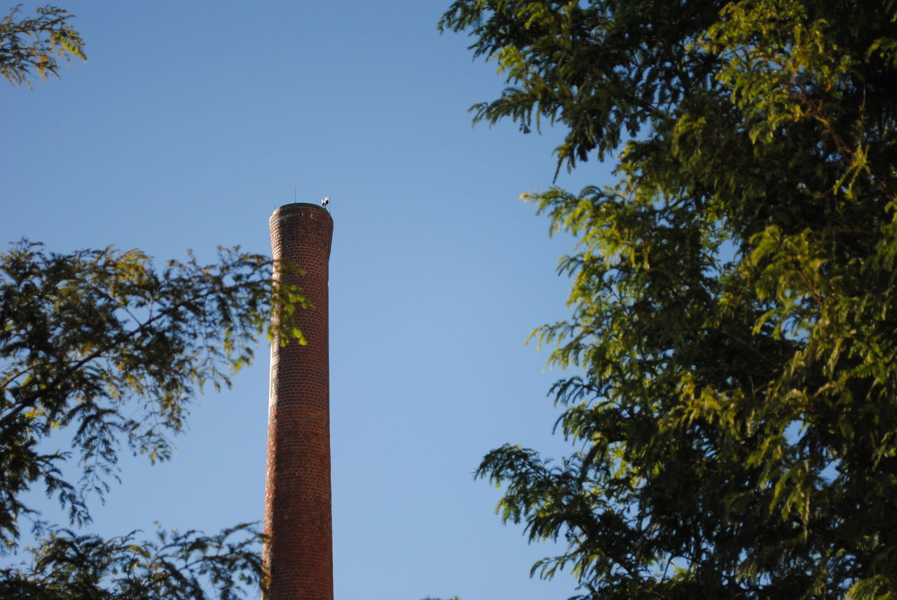 LOW ANGLE VIEW OF SMOKE STACK AGAINST SKY