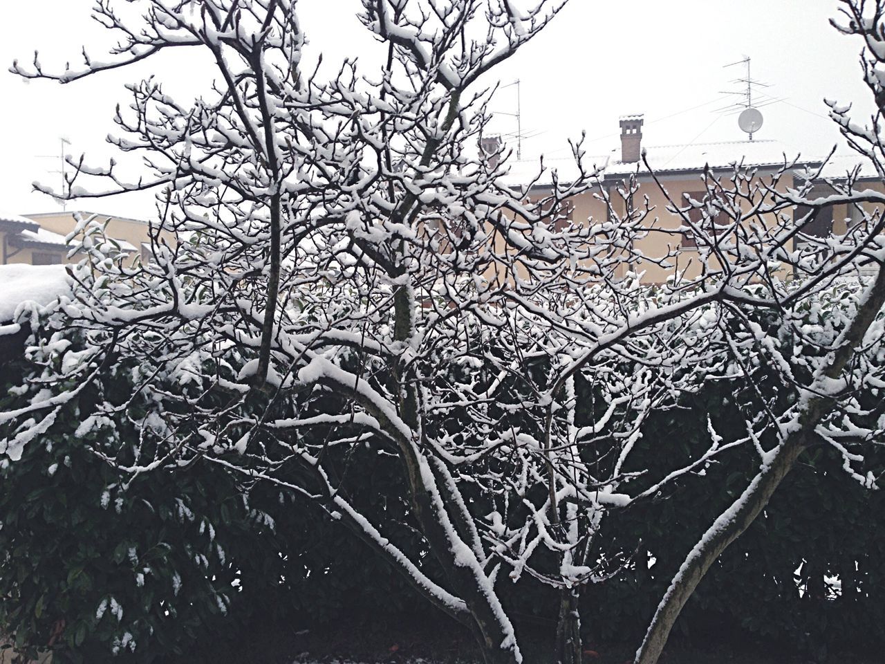 cold temperature, winter, bare tree, snow, season, weather, clear sky, frozen, sky, nature, plant, field, day, built structure, building exterior, outdoors, covering, no people, branch, fence