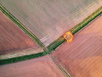 Scenic view of agricultural field