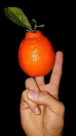 Close-up of hand holding orange fruit against black background
