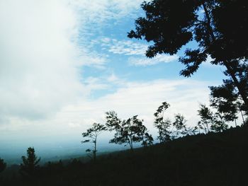 Low angle view of trees against cloudy sky