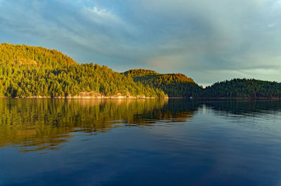 Scenic view of lake by trees against sky