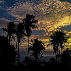 Silhouette of palm trees at sunset