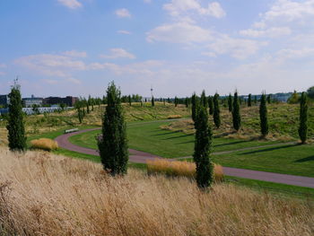 Field with trees and dry grass against cloudy sky