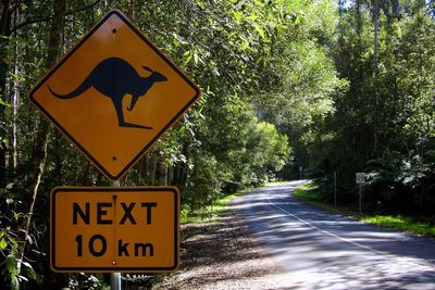 Great ocean road