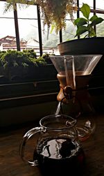 Close-up of potted plant on table