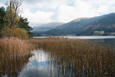 Scenic view of lake against sky