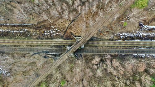 High angle view of trees on field